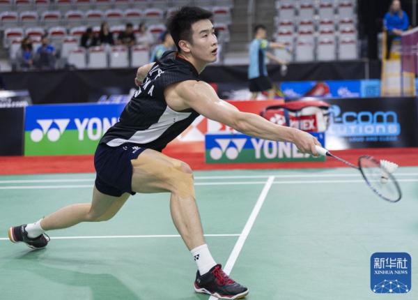 政府应当在 政府应当在